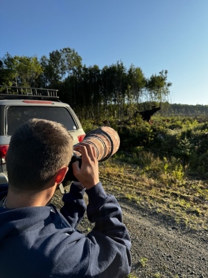 Photographer & Fleming Moose