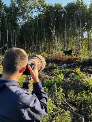moose photogrpher 2