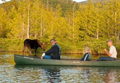 youngs-guide-service-moose-safari-0030